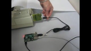 DIY USBRS232 to Centronics Raspberry Pi on a dot matrix printer [upl. by Ioyal]