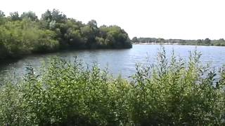 SPINNAKER LAKE BLASHFORD HAMPSHIRE [upl. by Syah]