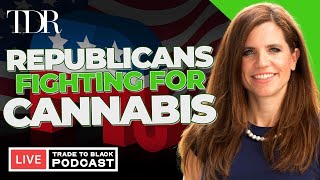 Rep Nancy Mace Updates on Cannabis Rescheduling Efforts [upl. by Adlei]