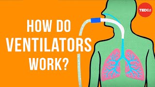 How do ventilators work  Alex Gendler [upl. by Mahan]