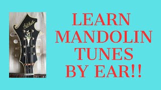 Mandolin Learn St Annes Reel By Ear Pete Martin [upl. by Uird183]