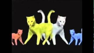 Purina Cat Chow Song Commercial [upl. by Malley178]