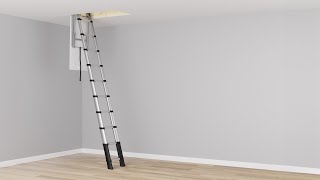 Telesteps Loft Line Telescopic Ladder [upl. by Themis89]