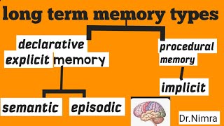 types of long term memory declarationprocedural in psychologyby Dr Nimra [upl. by Alleuol]