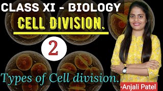 Class XI Biology  Cell Division  Types of Cell Division [upl. by Gayner612]