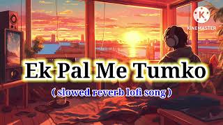 Ek pal me tumko lyrics  Bhula Dunga Lyrics in Hindi  lofi song  mood off song  sad song 2024 [upl. by Eintirb]