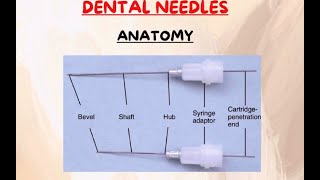 Needle anatomy local anesthesia part 1 [upl. by Salli]