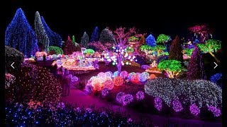 아침고요수목원 오색 별빛정원별빛축제2The Garden of MorningCalm GaPyeongGun Korea [upl. by Katherin]