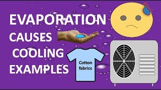 How does evaporation causes cooling examples  STATE OF MATTER 2 LIQUID CHEMISTRY  YOUTUBE [upl. by Saisoj]