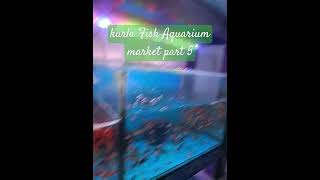 Aquarium fish kurla market Mumbai part 6fishingvideo MalvaniLife👍amp subscribe kijiye [upl. by Marabelle661]