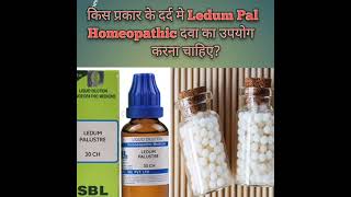 ledum pal homeopathic medicine use in hindi  ledum pal  ledum palustre  ledum pal कैसा दर्द मे दे [upl. by Julietta611]