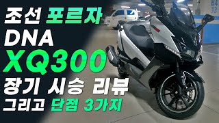 조선의 포르자 DNA모터스 빅스쿠터 XQ300 장기 시승기 리뷰  디자인  주행  ABS  단점  장점  거치대 마운트 [upl. by Etteragram702]