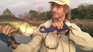 Fishing for barramundi on Lake Kununurra WA [upl. by Ailenroc]