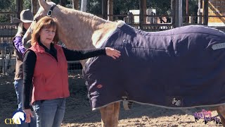 Blanketing the Horse Safely with Tammi Gainer [upl. by Akemhs]