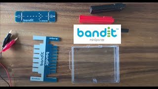 Live Demo Build It to Understand It with Bandit Electrophoresis [upl. by Airrat]