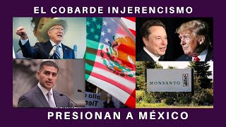 ¿FUERA MÉXICO DEL TMEC SALAZAR COBARDE LILLY LO APLAUDE GARCIA HARFUCH SUPERSECRETARIO [upl. by Ari]