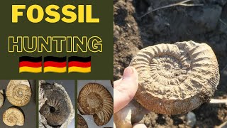 FOSSIL Hunting on German FIELDS [upl. by Colon]