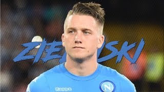 Piotr Zieliński 20162017  SSC Napoli  Skills amp Assists  HD [upl. by Dorelle]