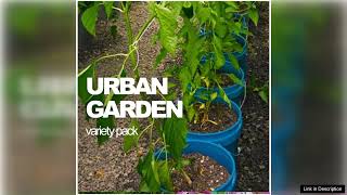 AllinOne Urban Garden Variety Pack – Seeds Review [upl. by Aitnahc]