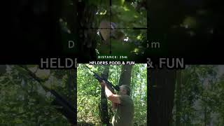 hunting pigeons pigeon pestcontrol shootingpigeons bsaairrifle viralshorts pest woodpigeon [upl. by Deroo]