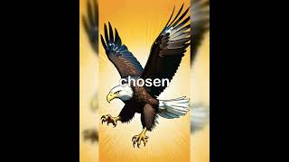 American Bald Eagle Symbol of Freedom history eagle freedom [upl. by Enom]