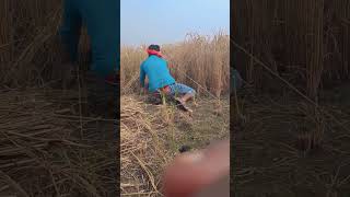 Acche Lage video chalayen subscribe jarur [upl. by Annoeik]