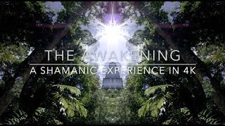 The Awakening A Shamanic Experience in 4K  Ayahuasca Icaro clip [upl. by Bibbie]