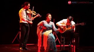 Cante Flamenco Rocío Bazán por jabegote [upl. by Damiano842]