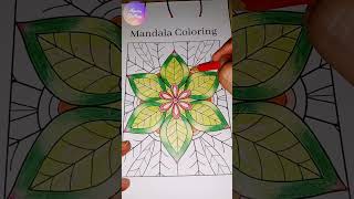 Mandala Coloring 🎨Aquita Gallery 40 [upl. by Astto]