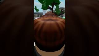 Lusus divertissement roblox jeu drole video abonne brookhaven humour [upl. by Paterson738]