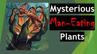 IS THIS THE STRONGEST HIGHEST LEVEL MAN EATING PLANT EVOLUTION 9999 GROW LEVELl ManEating Plant [upl. by Surbeck]