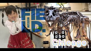 Lets explore this gigantic museum Field Museum Chicago Illinois with 3 kids  Family Vlog [upl. by Nahtnhoj899]