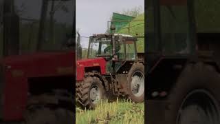 Возим силос актив подписка farming вреки farmingsimulator22 лайк agriculture farm [upl. by Werby]