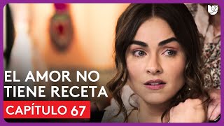 El Amor No Tiene Receta  Capítulo 67  Resumen [upl. by Nonnaehr]