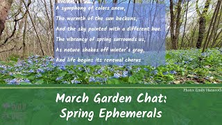 WOCB Garden Chat on Spring Ephemerals 2024 03 20 [upl. by Acnalb]