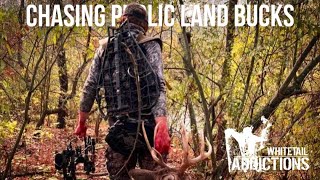 FOUR BUCKS ON PUBLIC LAND IN ONE SEASON with Jace Allen [upl. by Devina]