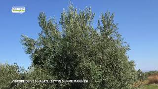 Halatlı Zeytin Silkme Makinası  Kadıoğlu Vibrope Olive S  2017 [upl. by Studnia]