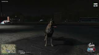 GTA 5 RP  DOJRP  BCSO K9 Taco on the prowl AKA the fur missile  PetTaco  Givetreat  discord [upl. by Gobert786]