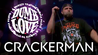 Crackerman  Dumb Love LIVE at Park City Music Hall [upl. by Amled369]