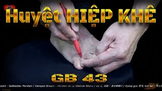 GB43  Huyệt Hiệp khê  Kinh Túc thiếu dương đởm  ACUVI [upl. by Aseela]