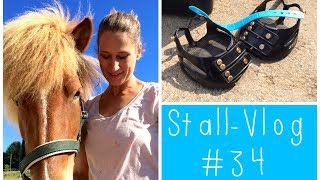 Stangentraining in der Bahn 5 Monate barhuf unterwegs  meine Hufschuhe StallVlog 34 [upl. by Sathrum]