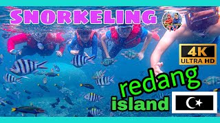 4K VIDEO SO YOU CAN SEE THE FISH  Snorkeling Trip Redang Island 2022 [upl. by Aytnahs540]