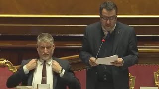 IL MINISTRO SALVINI RISPONDE AL QUESTION TIME AL SENATO DELLA REPUBBLICA [upl. by Docile484]