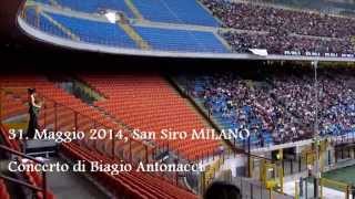 Se io se lei tedesco San Siro 2014 cantato da Nadia amp the Rabbits [upl. by Aneerak564]