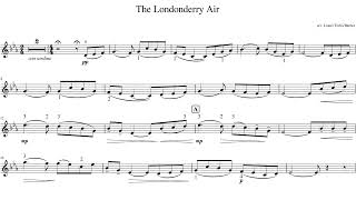 The Londonderry Air Violin [upl. by Oicnedif]