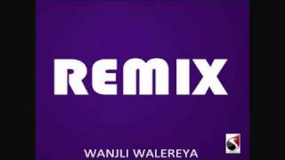 Wanjli Walereya REMIXflv [upl. by Nwahsav]