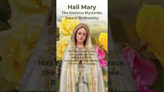 Hail Mary  Rosary Prayer  Rosary Wednesday  Glorious Mysteries  Ave Maria Piano hailmary [upl. by Goran]