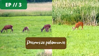 Pierwsze polowanie  Staż łowiecki krok po kroku odcinek 3 JakZostaćMyśliwym [upl. by Assilac50]