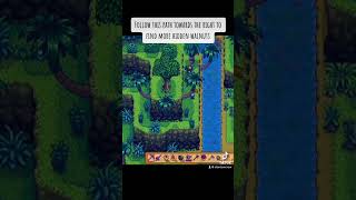 How to find all Golden Walnuts in Stardew Valley Part 5 😊 [upl. by Nwavahs527]