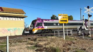 SG Vlocity Arriving at Benalla  Vic Spotters [upl. by Oiramed509]